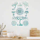 ジェリーディスコby Ernst Haeckel ポスター (キッチン)