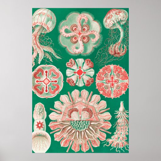 ジェリーディスコby Ernst Haeckel ポスター (正面)