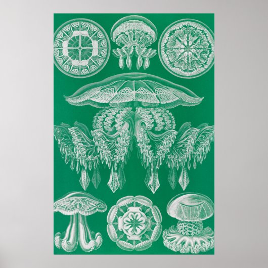 ジェリーディスコby Ernst Haeckel ポスター (正面)