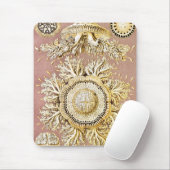 ジェリーディスコby Ernst Haeckel マウスパッド (マウス)