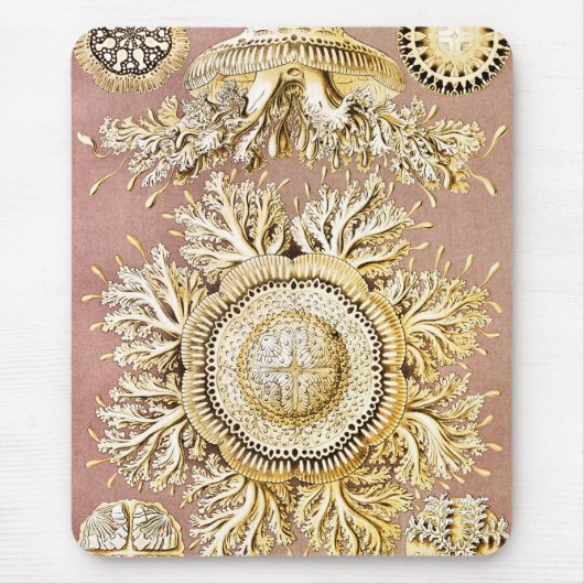 ジェリーディスコby Ernst Haeckel マウスパッド (正面)