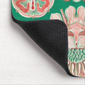 ジェリーディスコby Ernst Haeckel マウスパッド (コーナー)