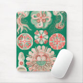 ジェリーディスコby Ernst Haeckel マウスパッド (マウス)