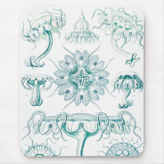 ジェリーディスコby Ernst Haeckel マウスパッド (正面)