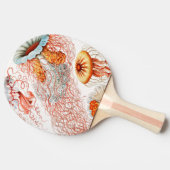 ジェリーディスコby Ernst Haeckel 卓球ラケット (横)