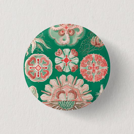 ジェリーディスコby Ernst Haeckel 缶バッジ (正面)