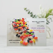 ジェリービーンズのハロウィーン妊娠のお知らせ シーズンカード (スタンド正面)