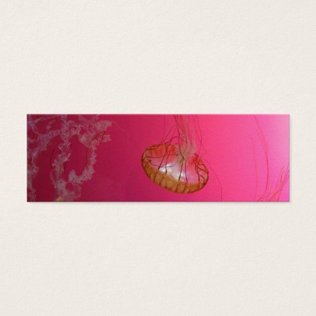 ジェリーピンク (正面)
