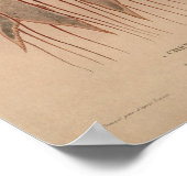 ジェリーレッドヴィンテージシークリーズアートプリント ポスター (角)