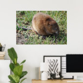 ジェリー・ザ・マスクラット ポスター (ホームオフィス)