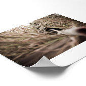 ジェリー ポスター (角)