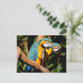 ジェルブリュスタラの閉じ込め枝 シーズンポストカード (スタンド正面)