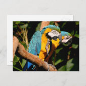 ジェルブリュスタラの閉じ込め枝 シーズンポストカード (正面/裏面)