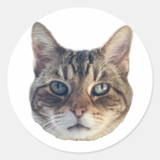 ジェロニモステッカー ラウンドシール (正面)