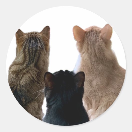 ジェロニモ、アンリ&フロイドのステッカー ラウンドシール (正面)