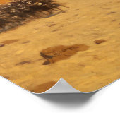 ジェローム – アカバ湾1897 ポスター (角)