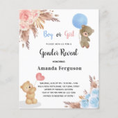 ジェンダーがパンパスグラスteddy bear予算を明らかにする チラシ (正面)