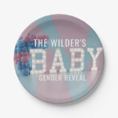 ジェンダーリビールピンクブルーベビーシャワー紙プレート ペーパープレート (正面)