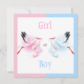 ジェンダー·リビール·パーティー·ストーク配信ベビー 招待状 (裏面)