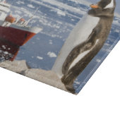 ジェンツーペンギン カッティングボード (角)