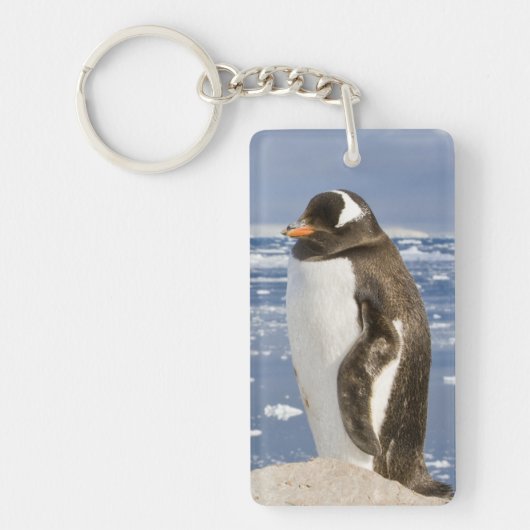 ジェンツーペンギン キーホルダー (正面)