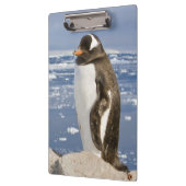 ジェンツーペンギン クリップボード (左)