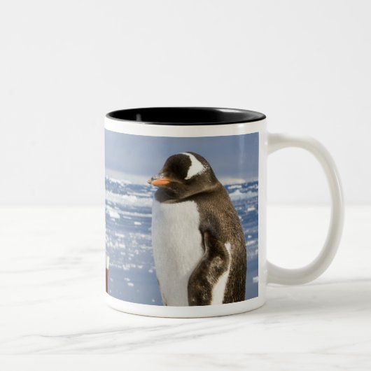 ジェンツーペンギン ツートーンマグカップ (右)