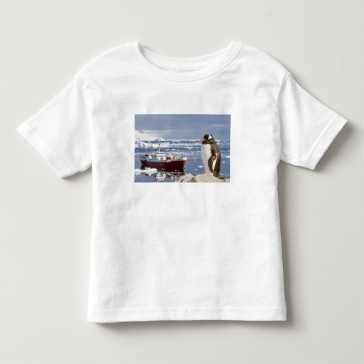 ジェンツーペンギン トドラーTシャツ (正面)