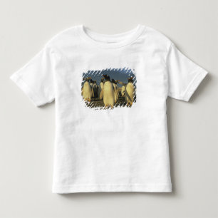 ジェンツーペンギン (Pygoscelis papua) フォークランド諸島 トドラーTシャツ