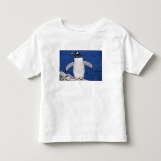 ジェンツーペンギン Pygoscelis papua) ポート トドラーTシャツ (正面)