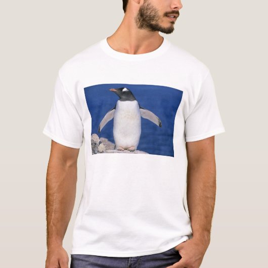 ジェンツーペンギン Pygoscelis papua) ポート Tシャツ (正面)