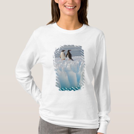 ジェンツーペンギン、Pygoscelis Papua、氷河の氷の上 Tシャツ (正面)