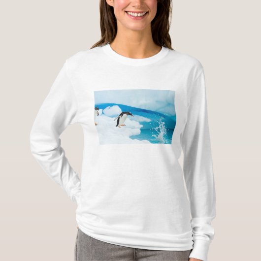 ジェンツーペンギン Pygoscelis Papua 飛び込み Tシャツ (正面)