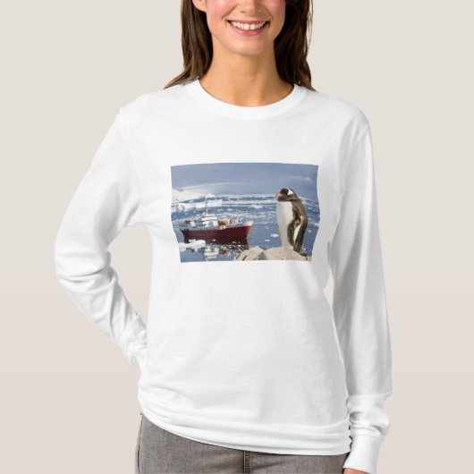 ジェンツーペンギン Tシャツ (正面)