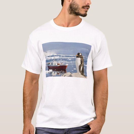 ジェンツーペンギン Tシャツ (正面)