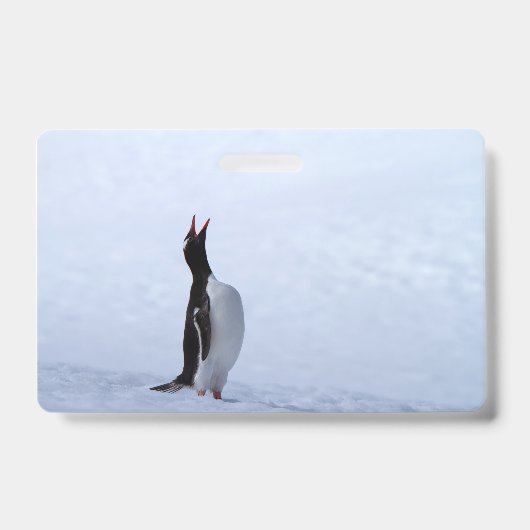 ジェントゥペンギン バッジ (正面)