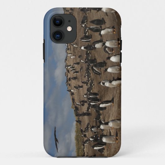 ジェントウペンギン (Pygoscelis papua) ウエストの群れ Case-Mate iPhoneケース (裏面)