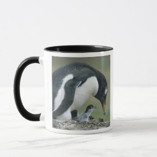 ジェントウペンギン (Pygoscelis papua) フォークランド諸島 マグカップ