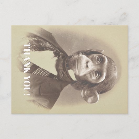 ジェントンチンパンジーことわざ「ありがとう」 ポストカード (正面)