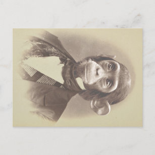 ジェントンチンパンジーヴィンテージ写真 ポストカード