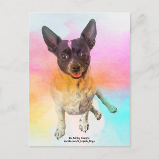 ジェンマ ディスコ ポストカード