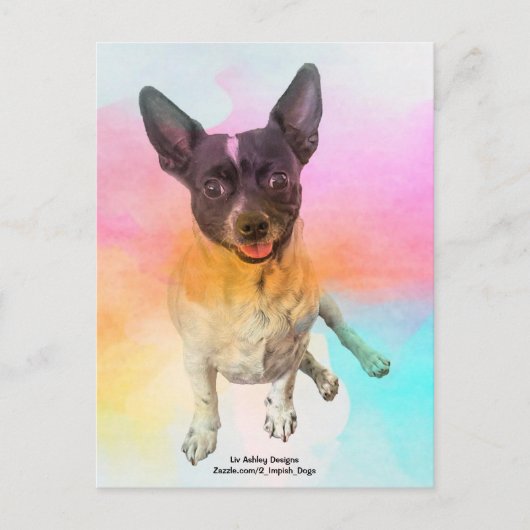 ジェンマ ディスコ ポストカード (正面)