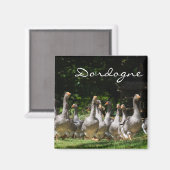 ジェーズインザドルドーン文字磁石 マグネット (正面/裏面)