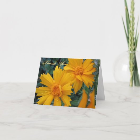 ジェームスの1:17のサンキューカード サンキューカード (正面)