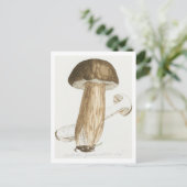 ジェームス・ソヴェルビーのイギリス真菌の色姿 ポストカード (スタンド正面)