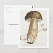 ジェームス・ソヴェルビーのイギリス真菌の色姿 ポストカード (正面/裏面)