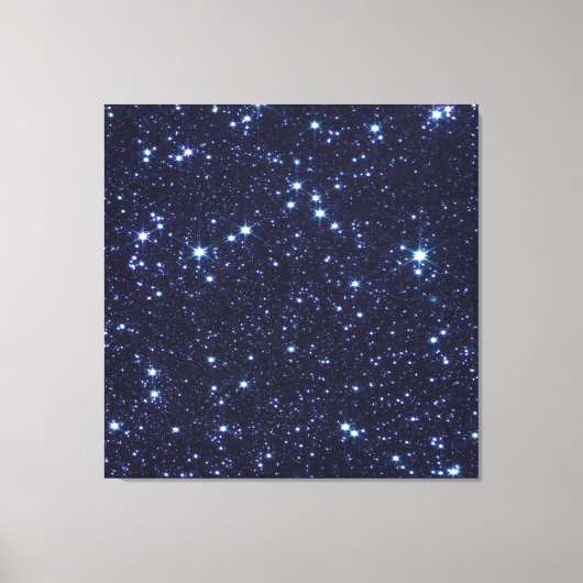 ジェームズウェッブ宇宙望遠鏡大マゼラン雲 キャンバスプリント (正面)