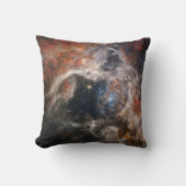 ジェームズウエブタランチュラネブラハイ – Res画像2022 クッション (正面)