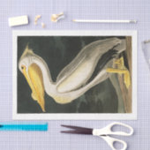 ジェームズオードボンペリカンデカップティシ航海のュ 薄葉紙 (クラフト)