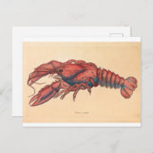 ジェームズソウェルビーセレーションロブスター ポストカード (正面/裏面)
